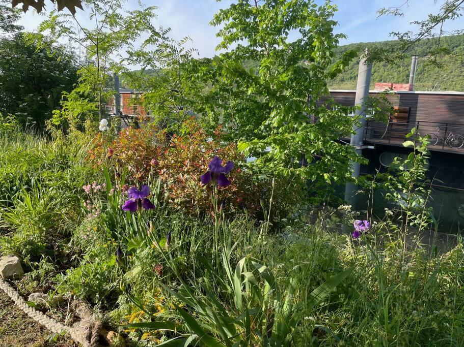 Maison Fleurs De Lys, Climatisee, Wifi Et Parking Privee Gratuit, Lave-Linge, Vernon Giverny Dış mekan fotoğraf